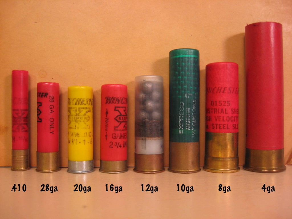 shotgun-shell-visual-comparison